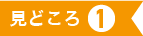 見どころ１