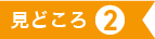 見どころ２