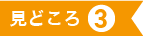 見どころ３