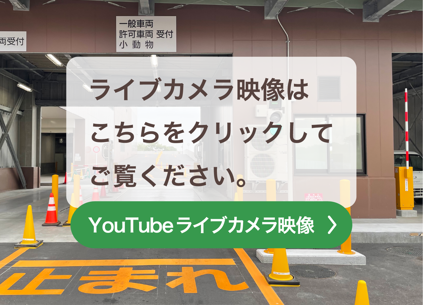 YouTubeへのリンク